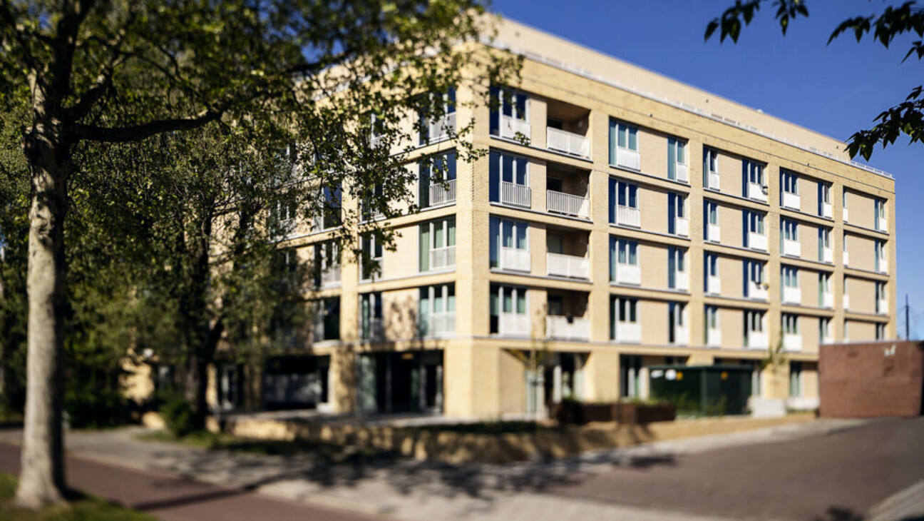 WS 20260501 172 1