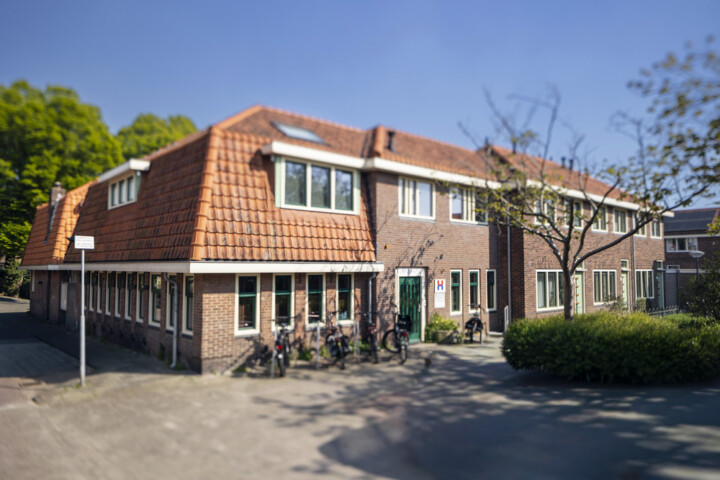 WS 20260429 019 1