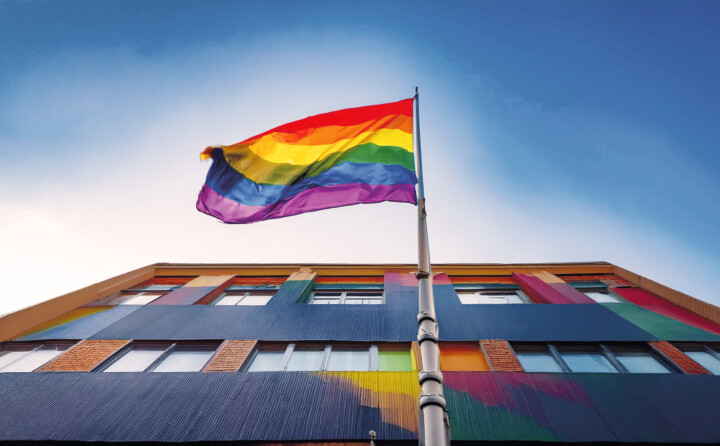 Regenboogvlag